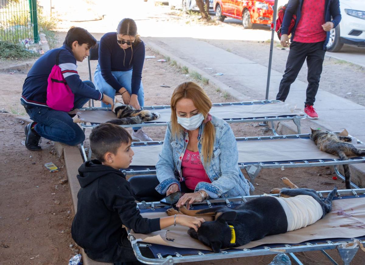 Acerca la Secretaría de Salud los servicios de salud animal a vecinos de Villas del Real