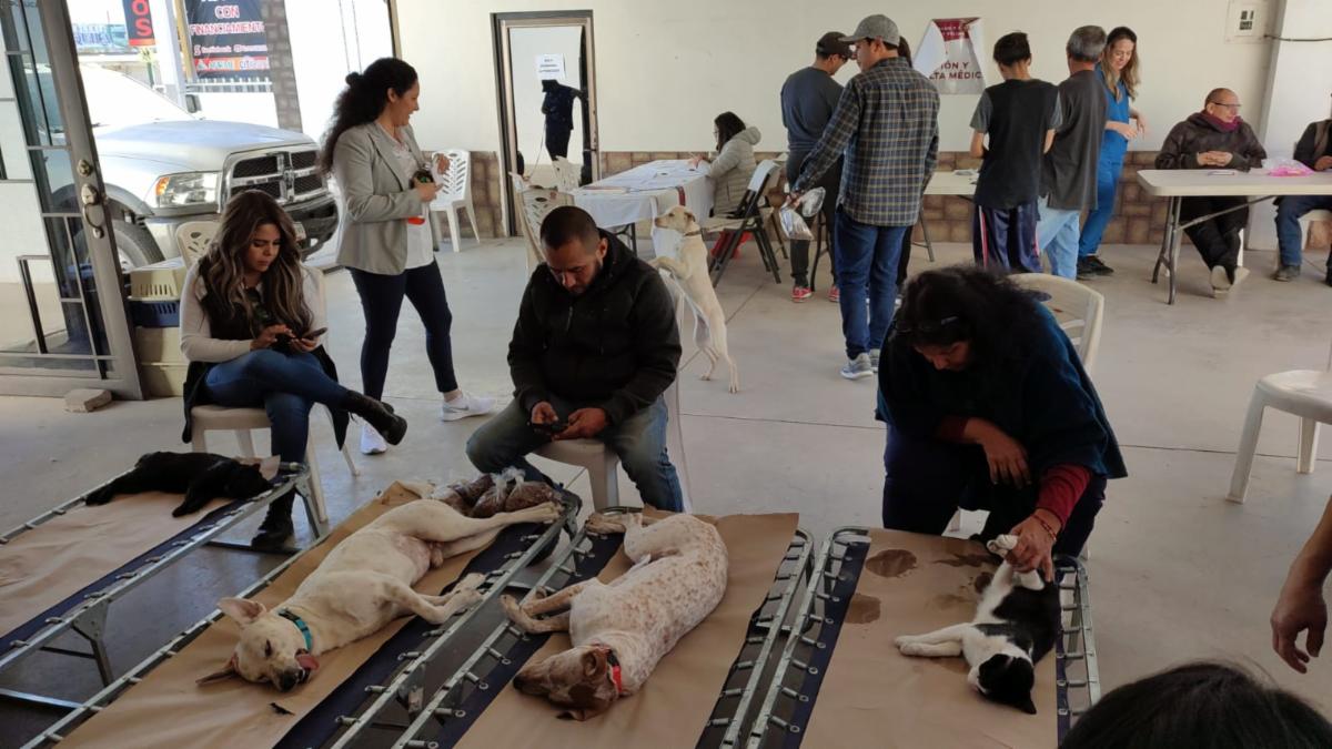 Lleva Salud Sonora jornada de salud animal a colonias de Hermosillo