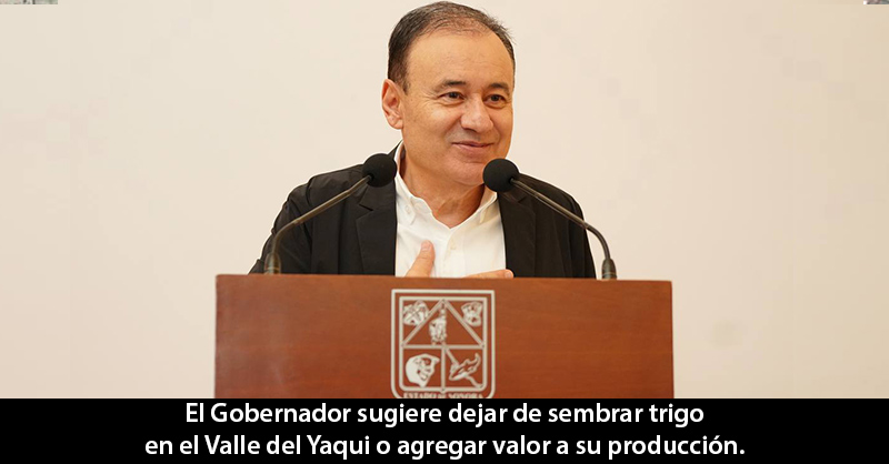El trigo 