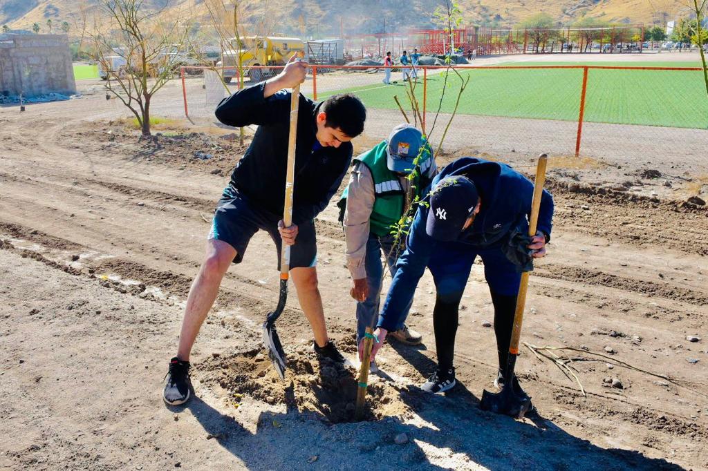 Encabeza Toño Astiazarán arborización en El Cárcamo