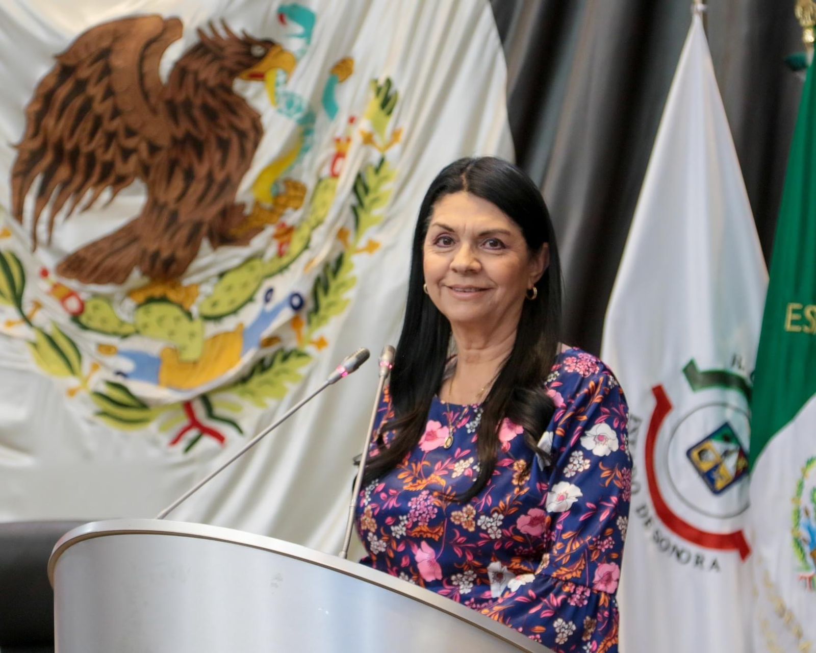 Presenta Ernestina Castro propuesta de ley de comunicación social