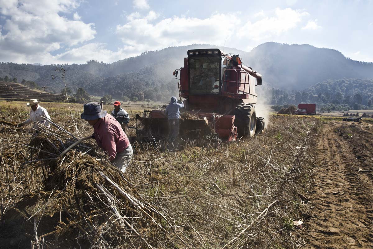 El Partido Morena atenta contra el campo mexicano con desaparición de la financiera rural: Revolucionario Institucional