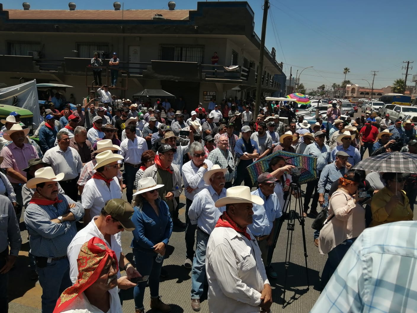Nunca abogues por la soga con la que te están ahorcando.