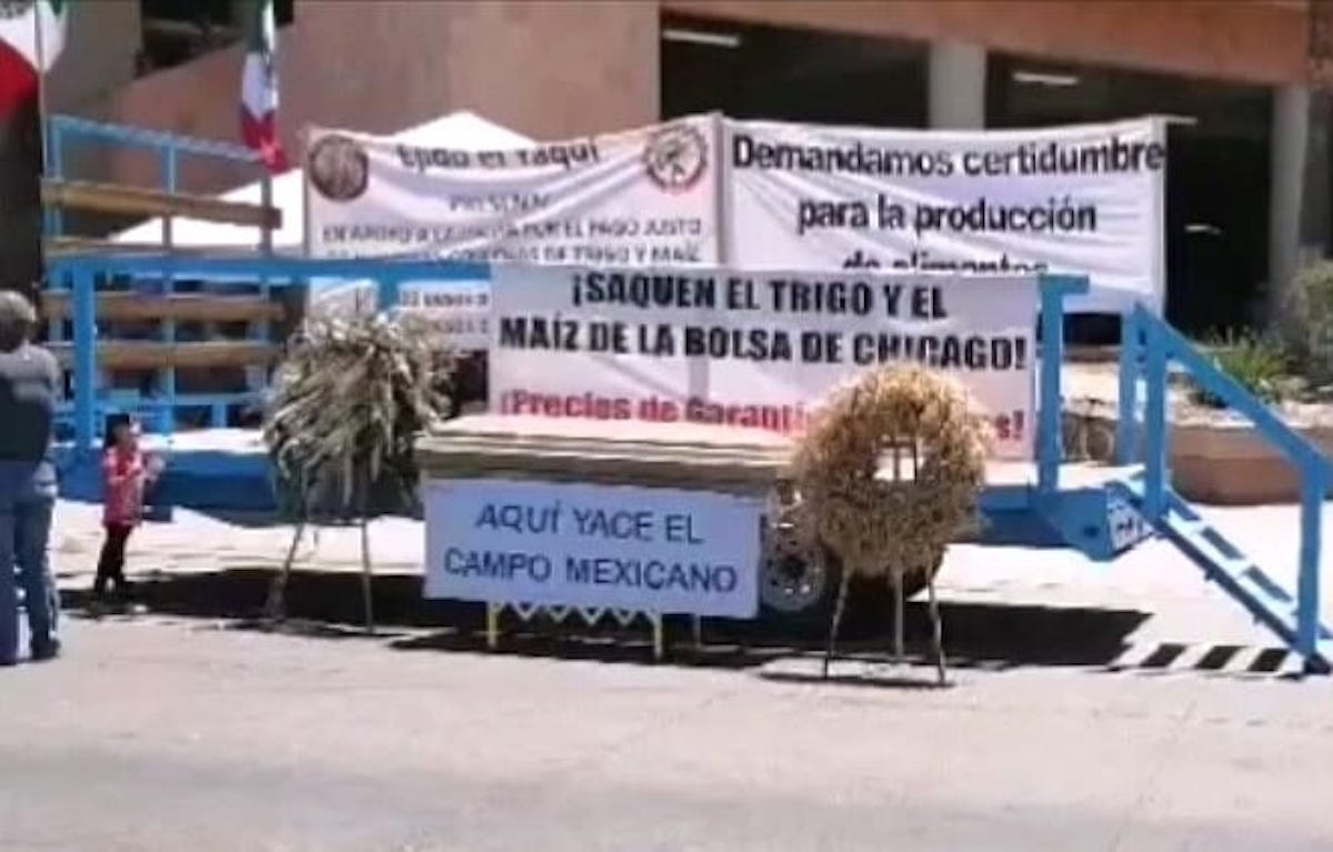AMLO favorece la corporativización del campo mexicano