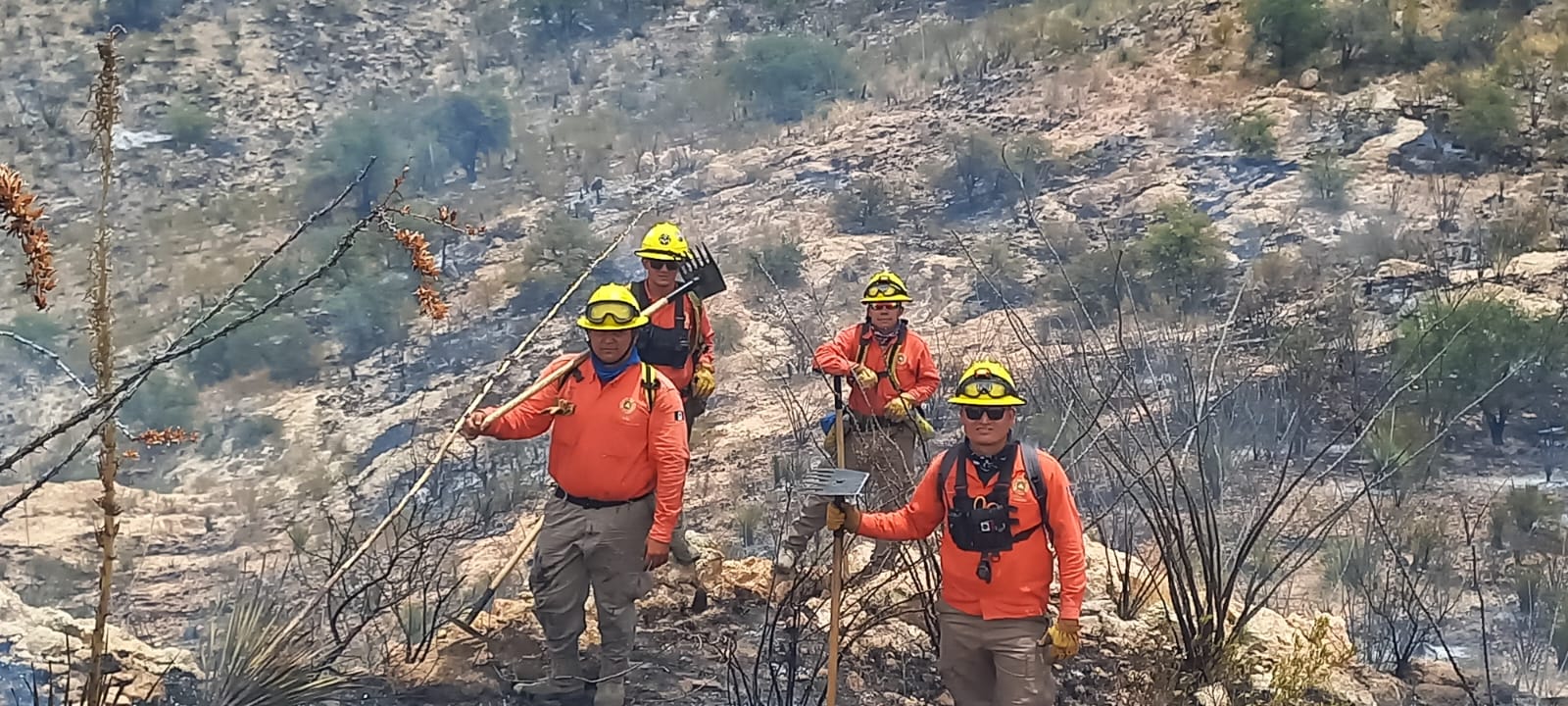 Se alcanza 95 por ciento de control en el incendio forestal de Ímuris