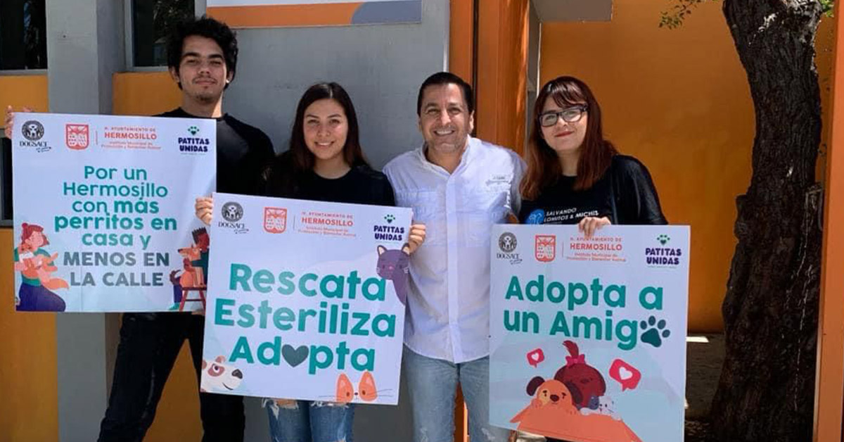 Llaman a ser parte de la campaña permanente de fomento de adopción de animales de compañía