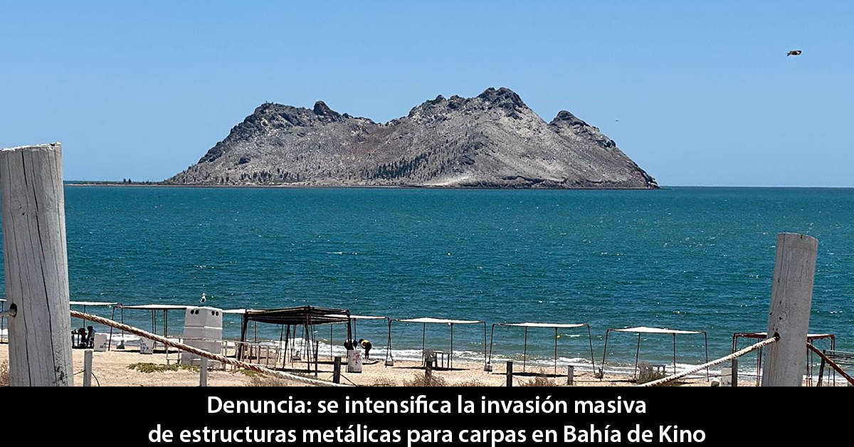 Carpas