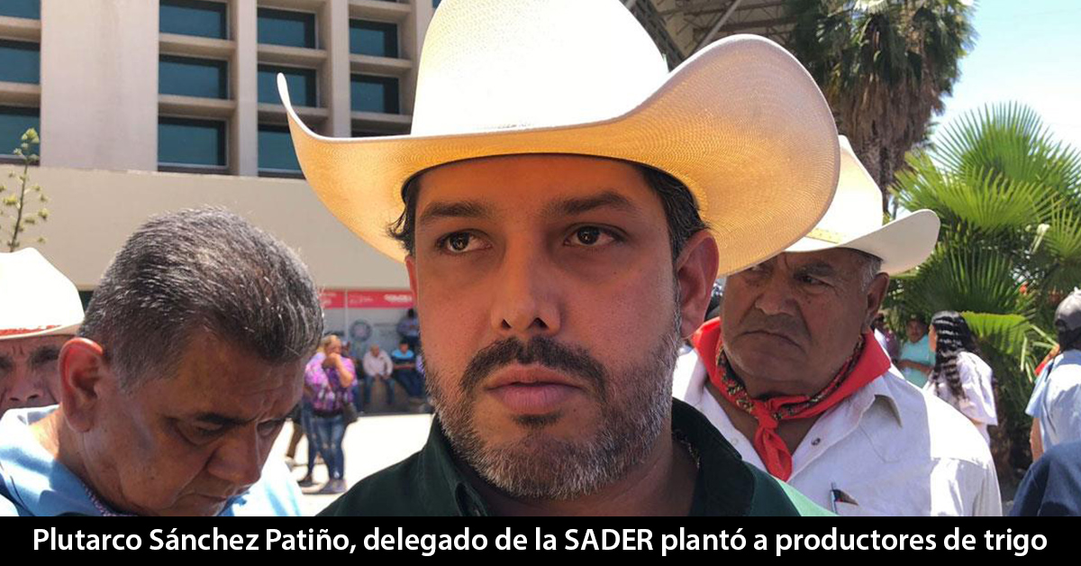 Ilusos