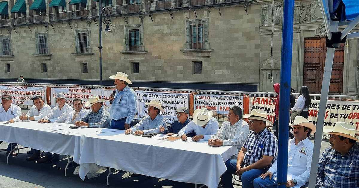 Productores agrícolas de 22 estados realizan «plantón»  frente a Palacio Nacional
