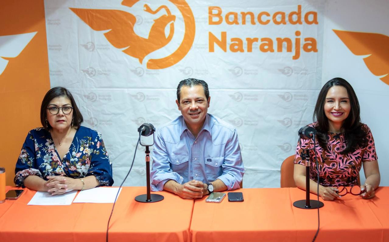 Pedirá Bancada Naranja destinar 690 MDP del presupuesto para mitigar excesivas tarifas de CFE