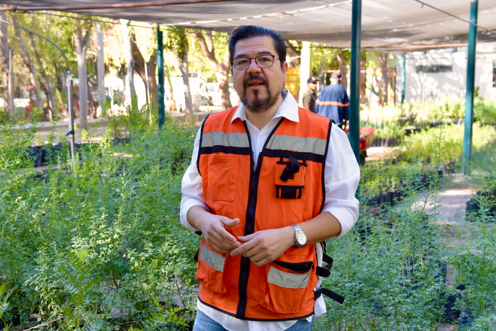 Llaman a hacer de Hermosillo una ciudad más verde, con la campaña “Yo Planto Nativo”