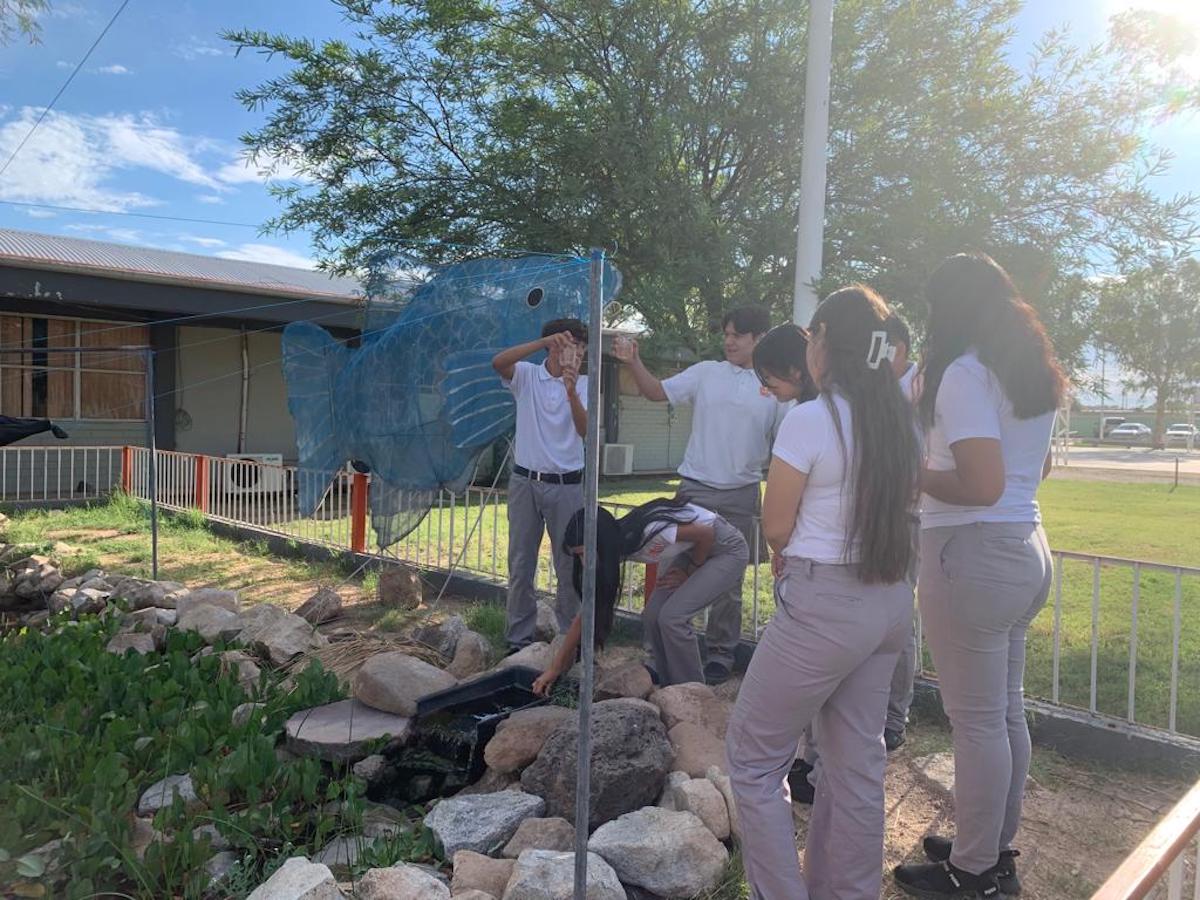 Refuerza Cobach Sonora participación de estudiantes en la conservación del pez pupo.
