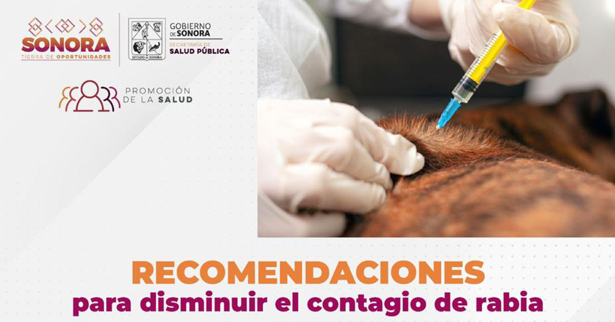 Se han aplicado más de 160 mil vacunas antirrábicas a perros y gatos
