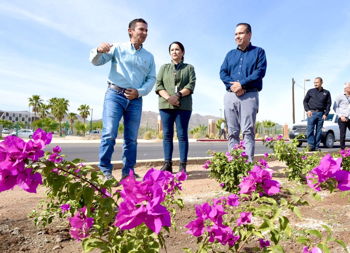 Supervisa Toño Astiazarán remozamiento del camellón del bulevar Mazón López