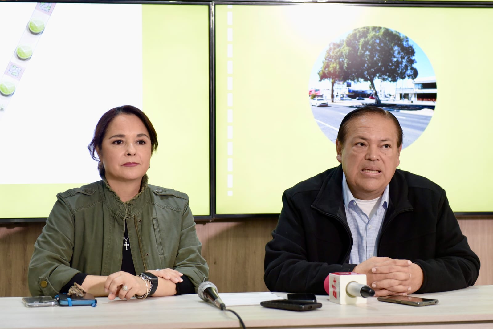 El Ayuntamiento de Hermosillo repondrá con especies nativas los árboles afectados en camellón del bulevar Rodríguez El Ayuntamiento de Hermosillo repondrá con especies nativas los árboles afectados en camellón del bulevar Rodríguez