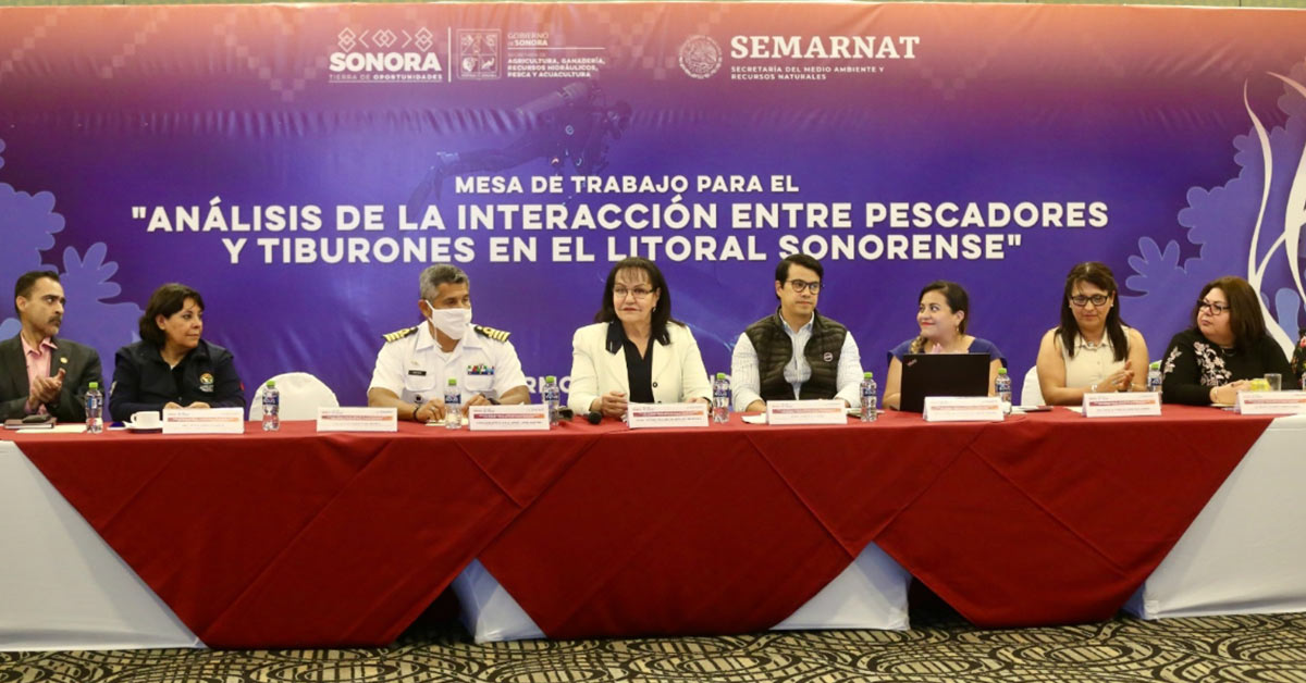 Realiza Sagarhpa mesa de trabajo sobre interacción entre pescadores y tiburones