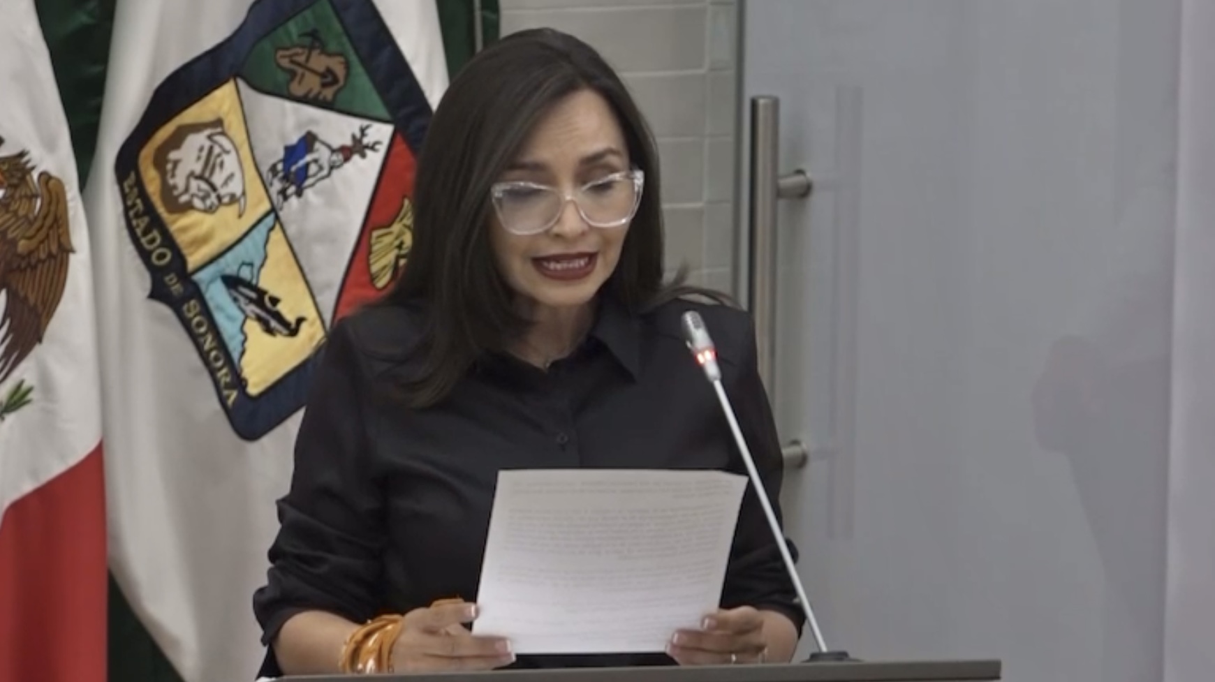 Es necesario limitar el uso y cobro de grúa en sucesos de tránsito: Natalia Rivera