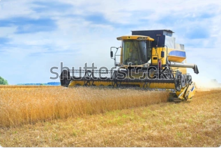 Bolsa de cereales de los BRICS; oportunidad y esperanza