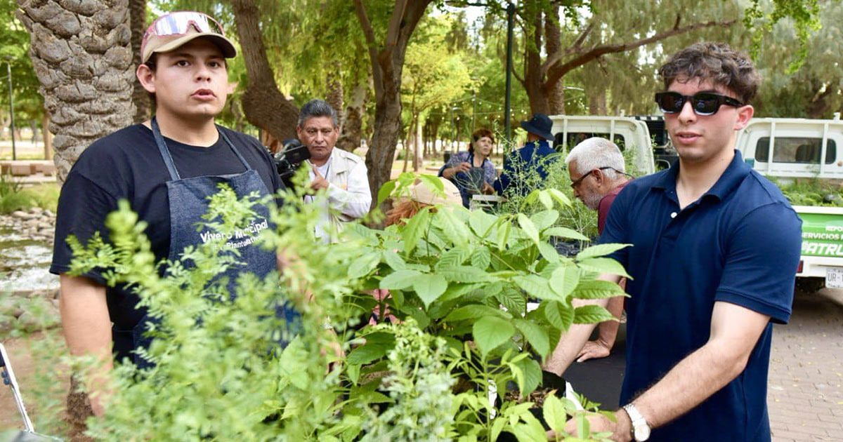 Celebra Gobierno Municipal exitosa Feria del Árbol en Parque Madero