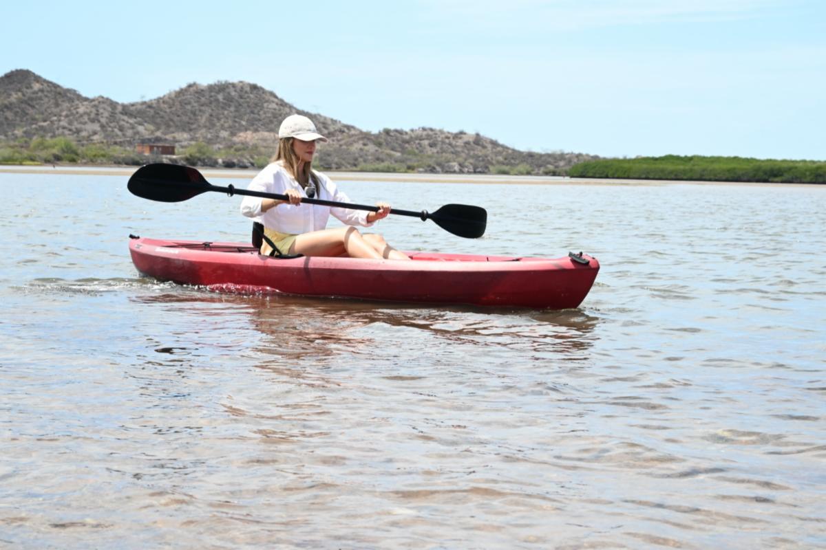 Gobierno de Sonora Impulsa el Ecoturismo y la conciencia ambiental en Estero «El Soldado» 