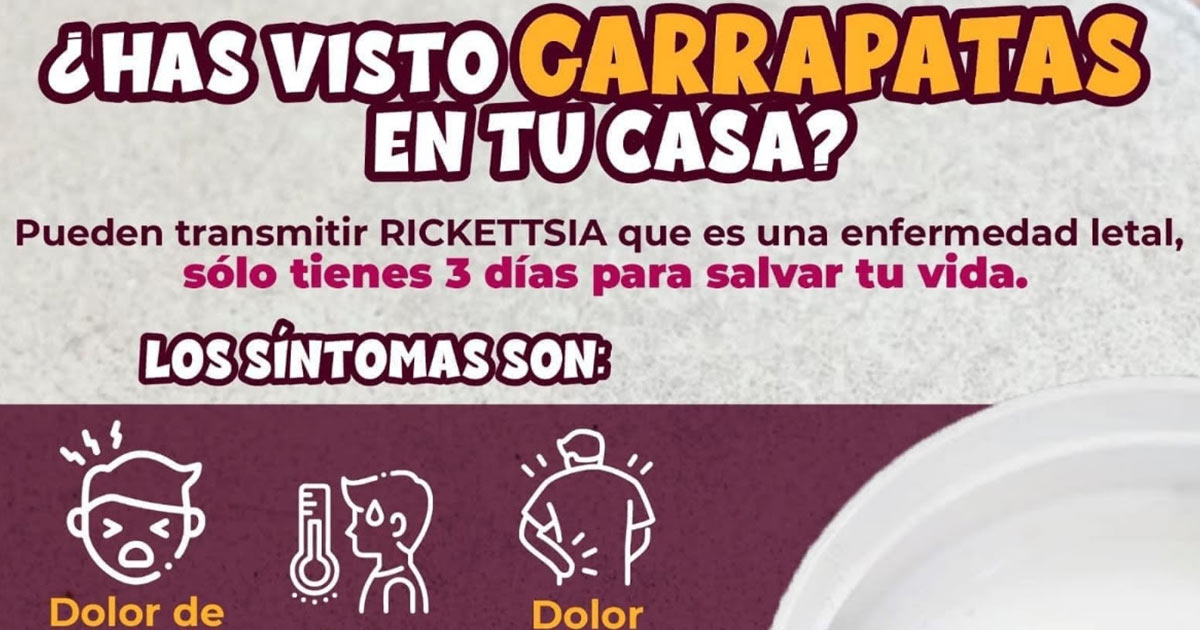 Trabaja Salud Sonora en acciones preventivas contra fiebre manchada por rickettsia rickettsii