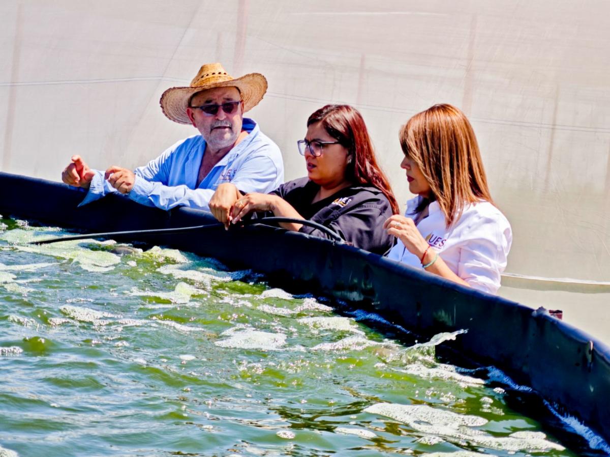 Supervisa Universidad Estatal de Sonora funcionamiento de sus Campos Experimentales 