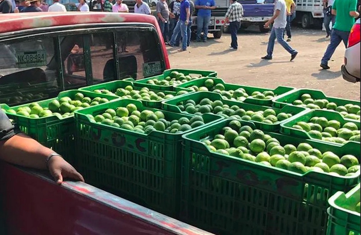 Paran limoneros por extorsiones