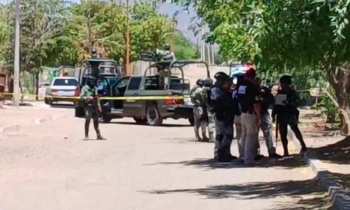 Localizan a un hombre sin vida en tendido de un árbol en Cajeme