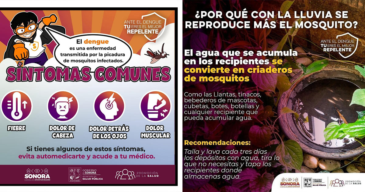 Llama Salud Sonora a mantener hogares limpios y prevenir el dengue