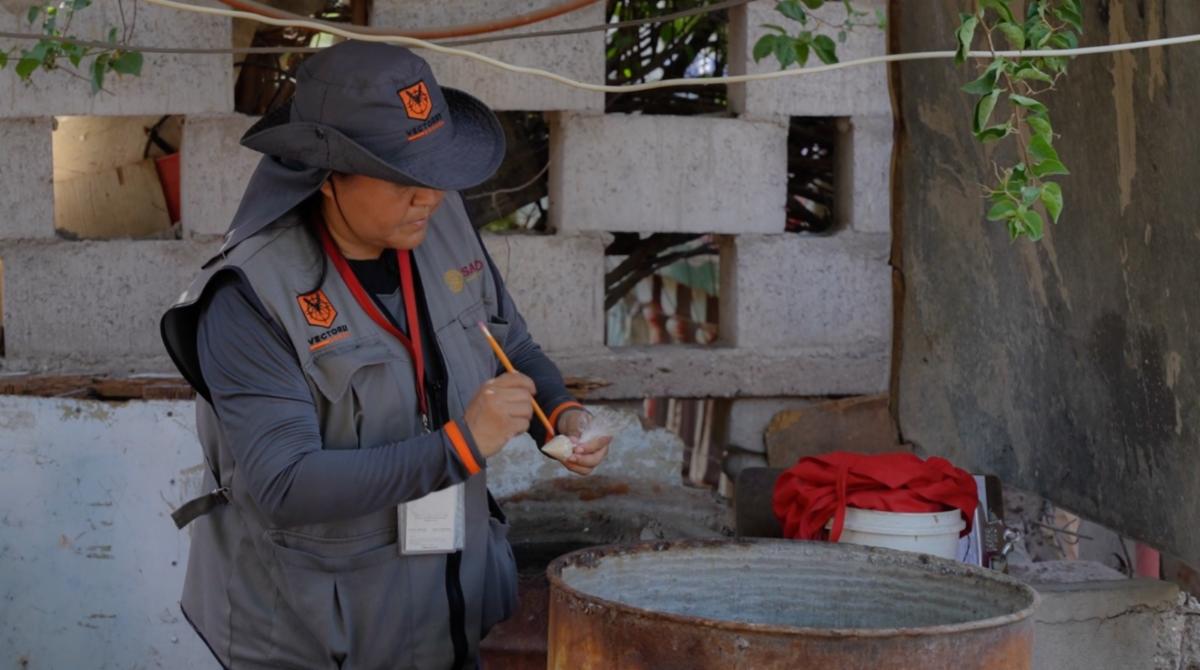 Van 48 casos de dengue en Sonora este año