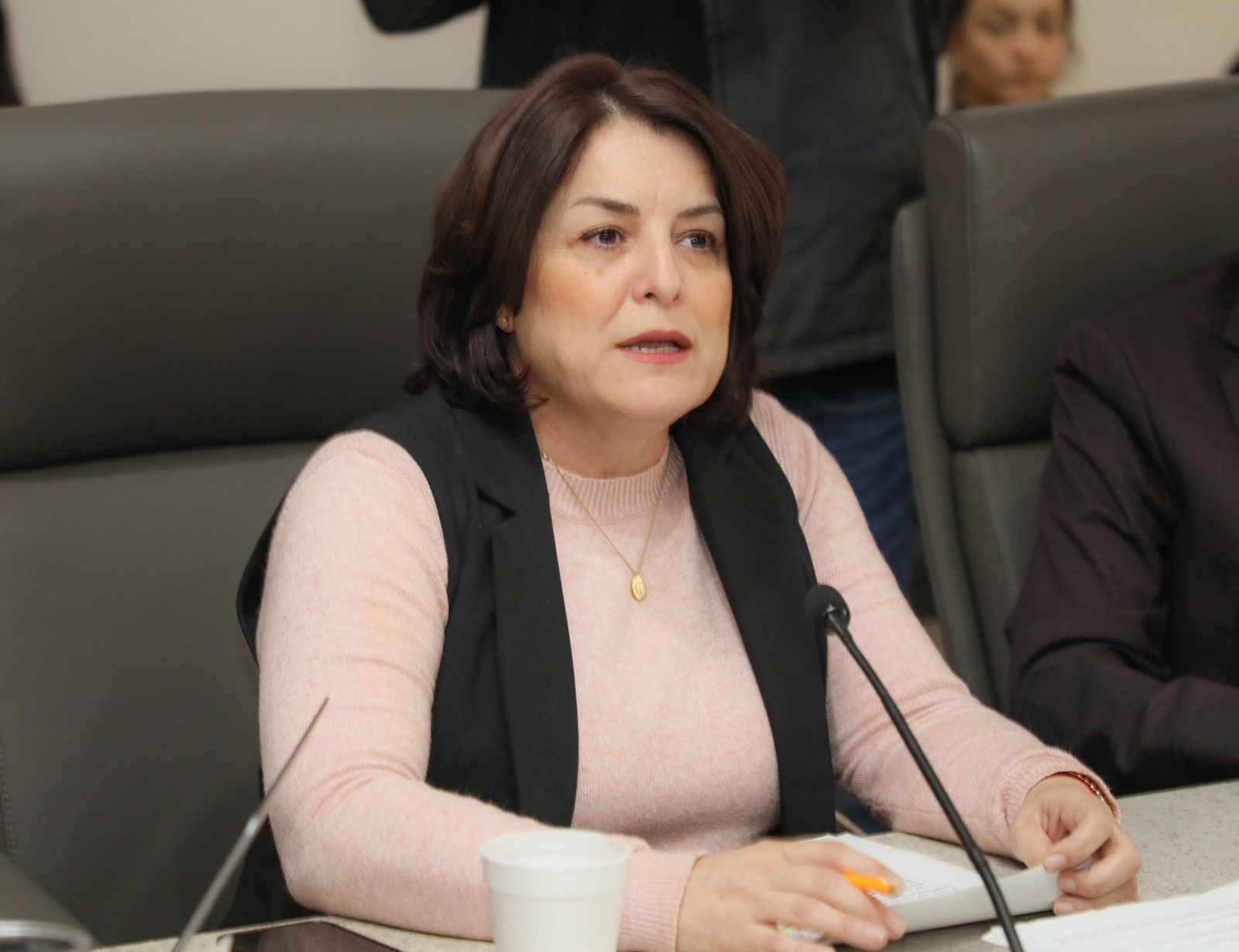 Sí hay nuevos impuestos y una considerable reducción al presupuesto de salud en Sonora para el 2025: Gabriela Félix