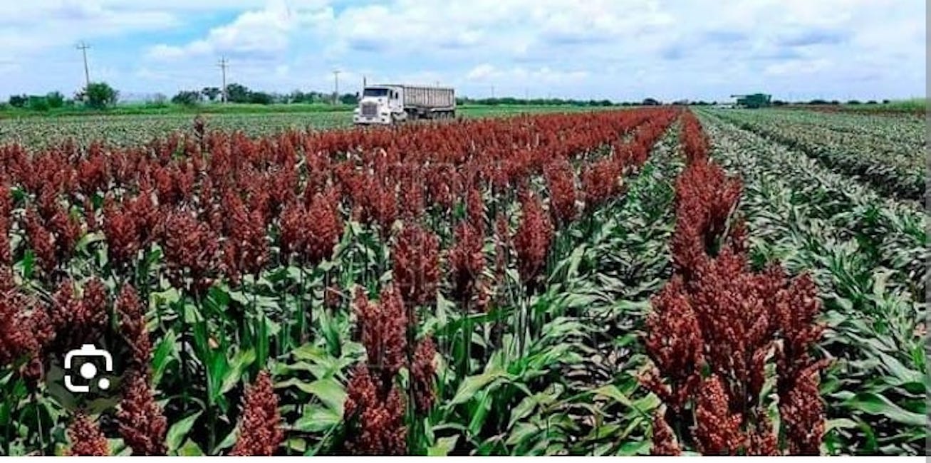 La deuda se come el presupuesto y la producción de alimentos se desploma