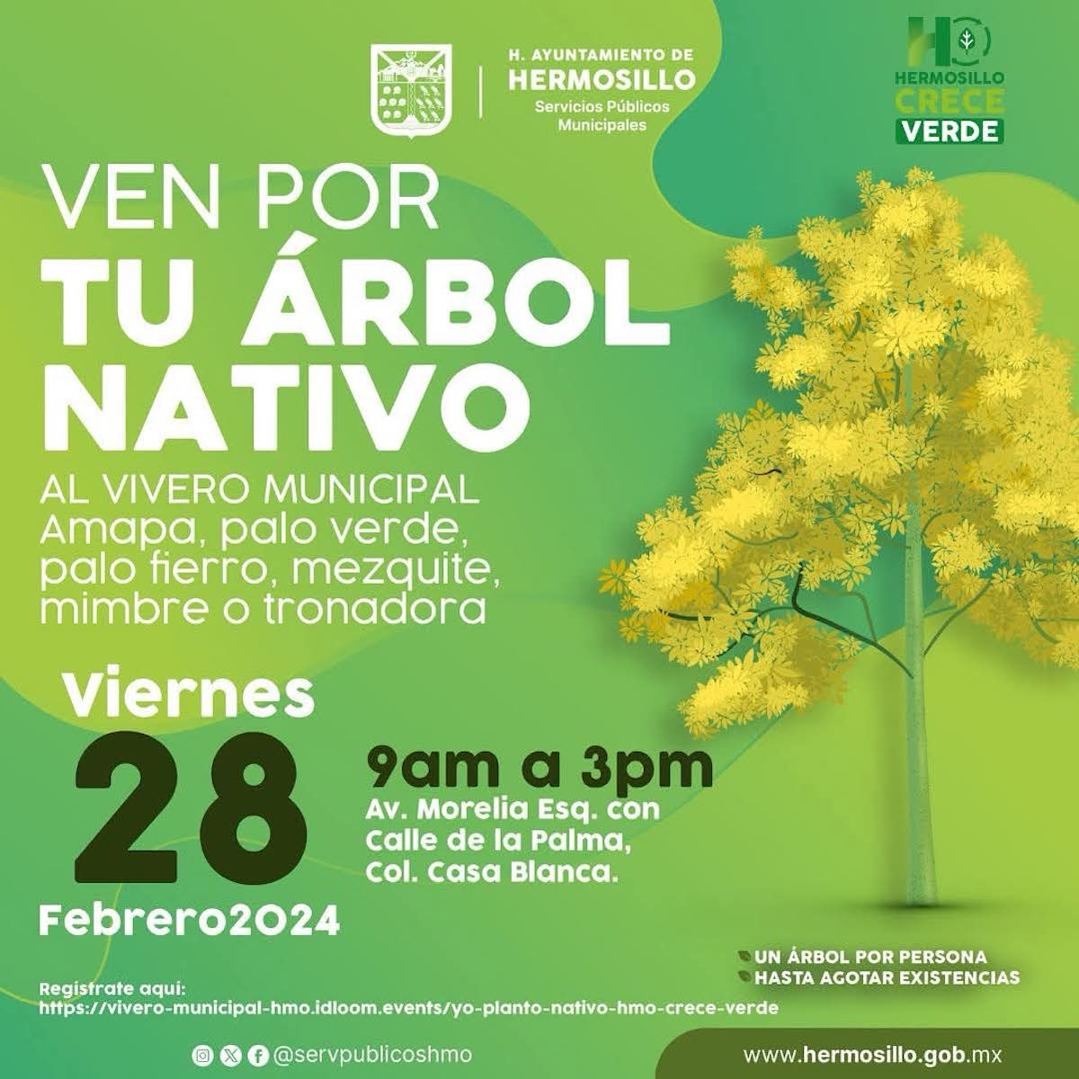Donarán 500 árboles nativos en el Vivero Municipal Donarán 500 árboles nativos en el Vivero Municipal