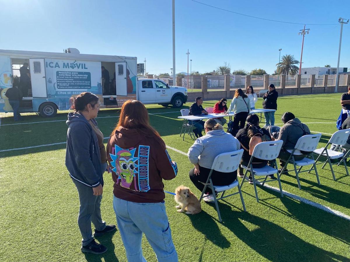 Esteriliza gratis Gobierno de Hermosillo y organización civil a 96 mascotas en Bahía de Kino
