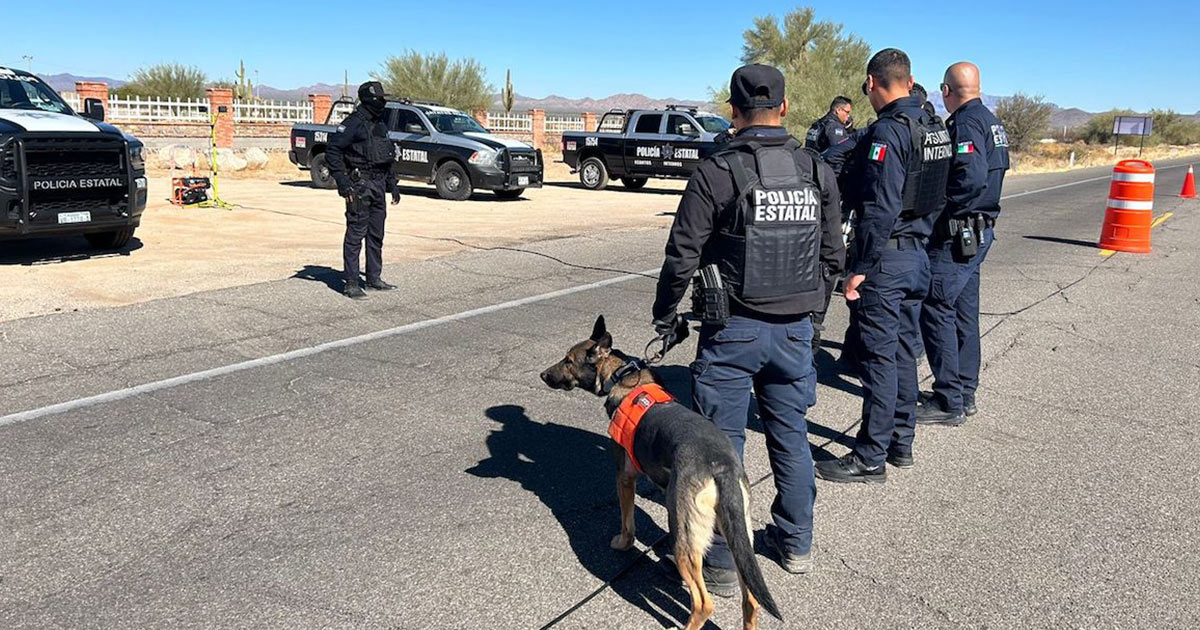 Asegura Gobierno de Sonora más de 5 mil dosis de narcótico en operativos de la Policía Estatal Asegura Gobierno de Sonora más de 5 mil dosis de narcótico en operativos de la Policía Estatal