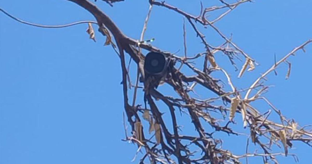 Aseguran cámaras de videovigilancia irregulares en Ciudad Obregón
