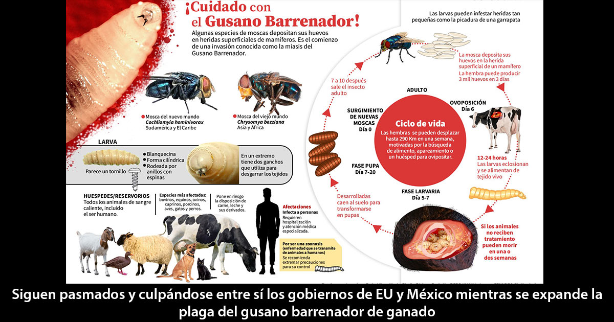 Agobio Agobio