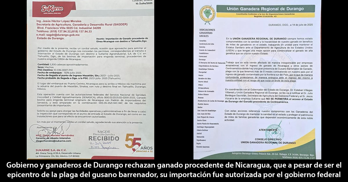 Absurdo Absurdo