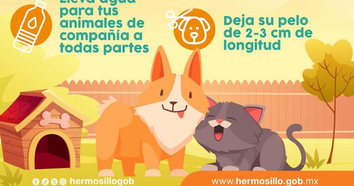 Recomienda IMPBA medidas para proteger a animales de compañía ante el calor