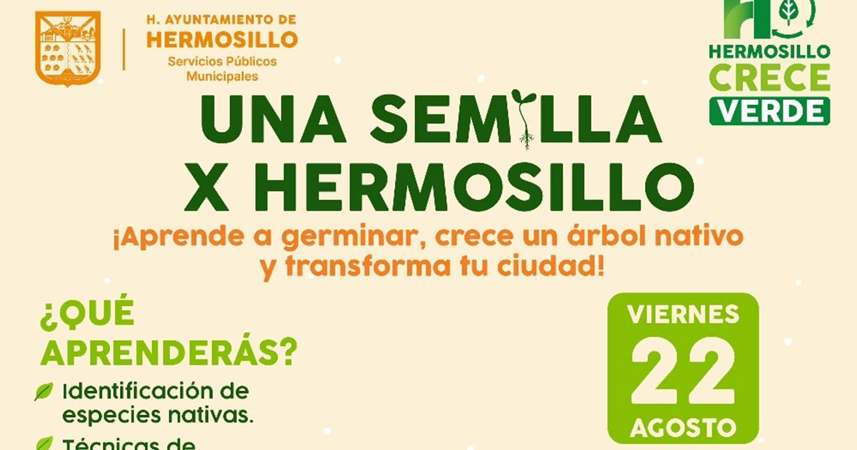 Invita Gobierno Municipal a Taller “Una Semilla x Hermosillo” para aprender a germinar y reforestar la ciudad