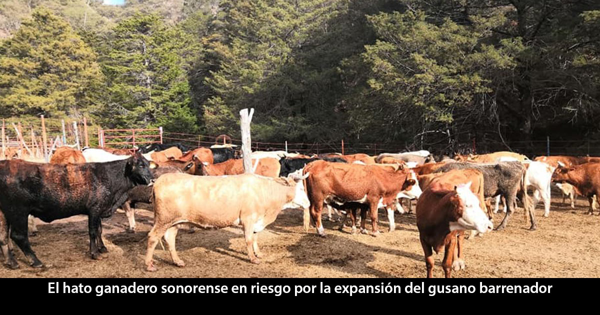 De suerte