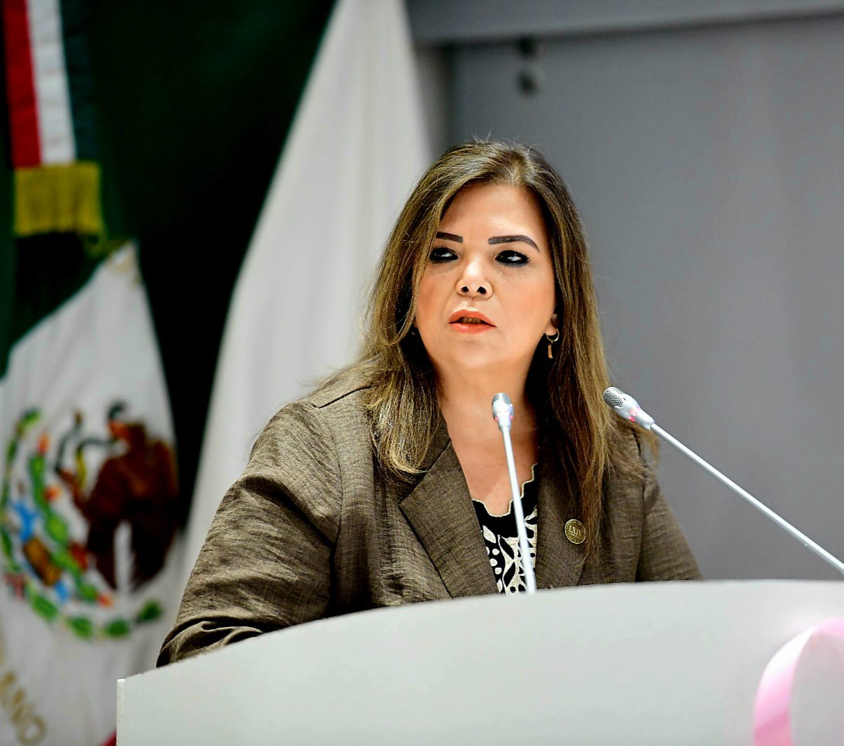 La diputada Gabriela Tapia Fonllem presenta iniciativa para garantizar el abasto de medicamentos en el ISSSTESON