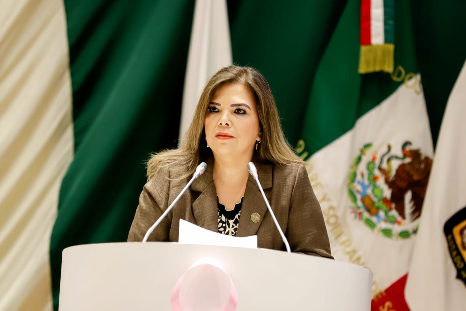 Llama diputada Gabriela Tapia a mantener viva la lucha por los derechos políticos de las mujeres